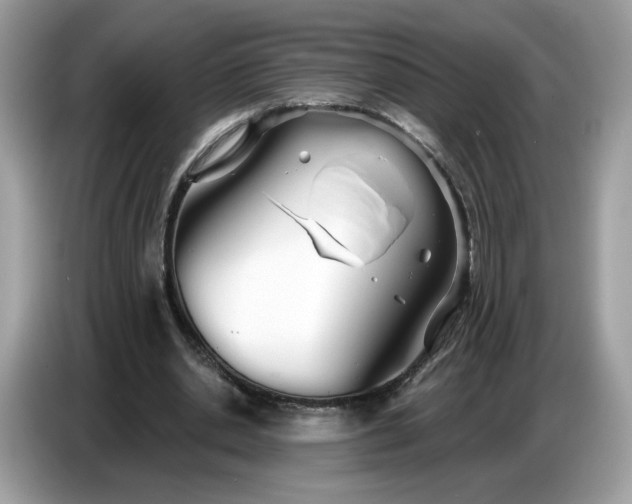 X0000086780438200704271813