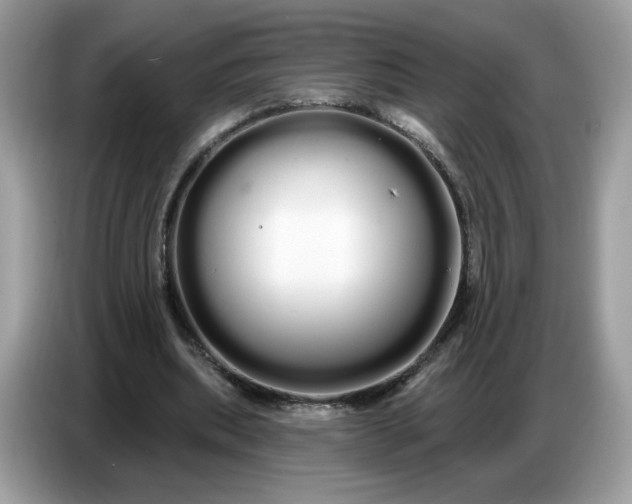 X0000086780439200704271813