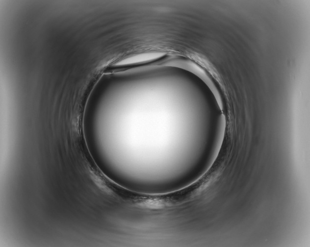 X0000086780441200704271813