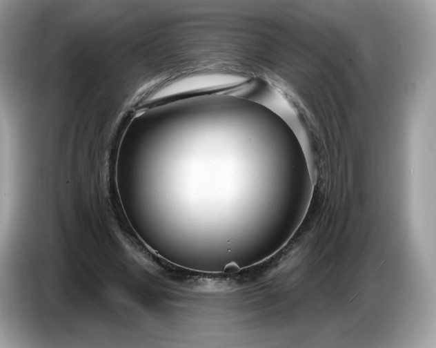 X0000086780442200704271813