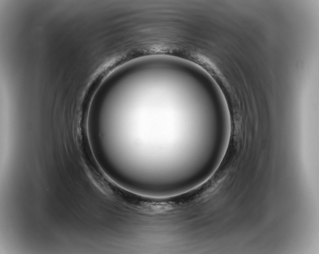 X0000086780443200704271813