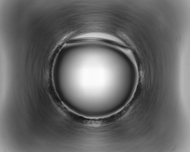 X0000086780444200704271813