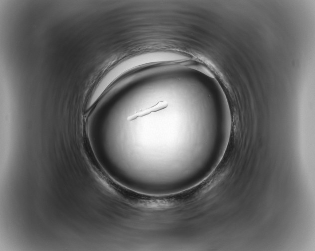 X0000086780445200704271813