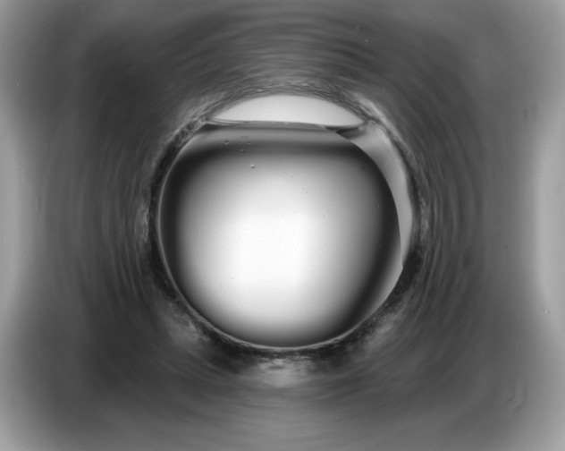 X0000086780447200704271813