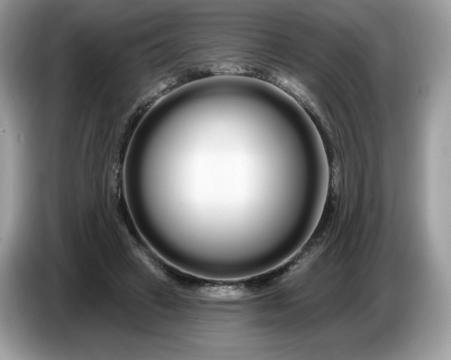 X0000086780449200704271813