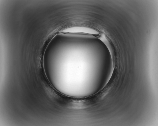 X0000086780450200704271813