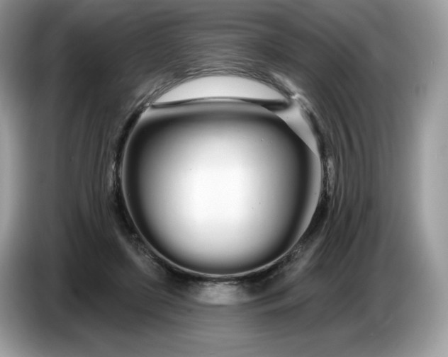 X0000086780451200704271813