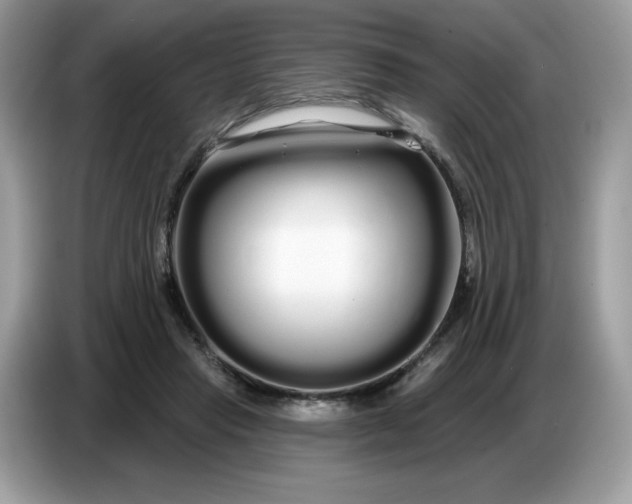 X0000086780453200704271813