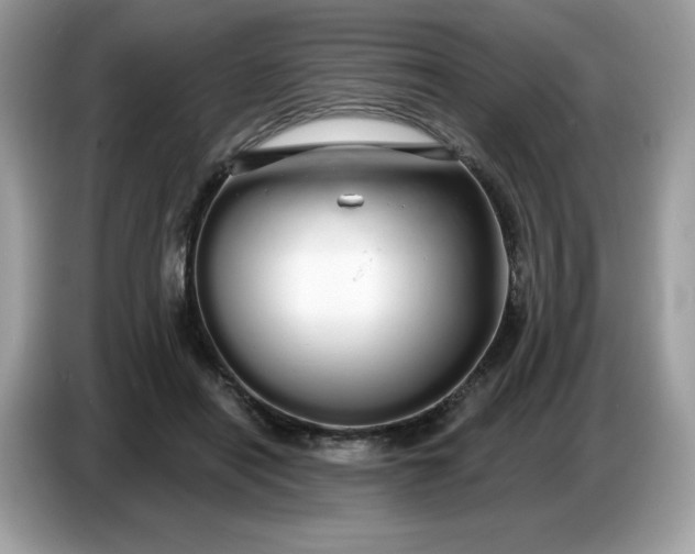 X0000086780454200704271813