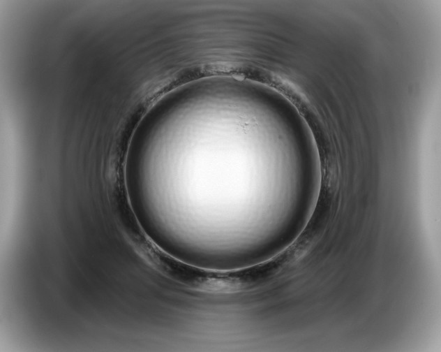 X0000086780455200704271813