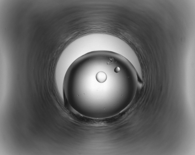 X0000086780456200704271813