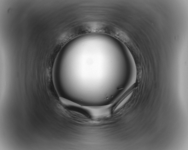 X0000086780461200704271813