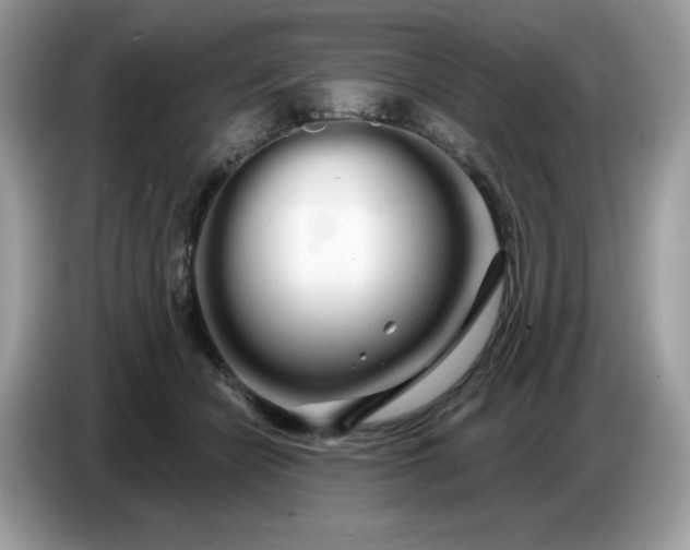 X0000086780462200704271813