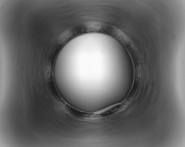 X0000086780463200704271813