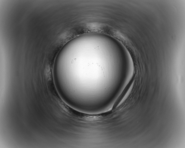 X0000086780465200704271813