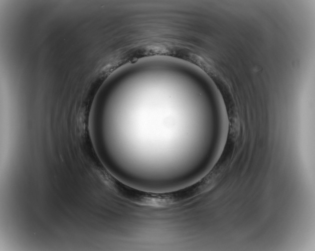 X0000086780466200704271813