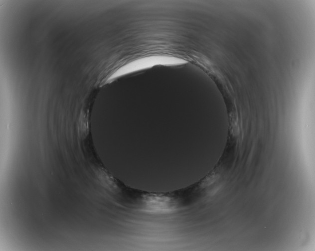 X0000086780471200704271813