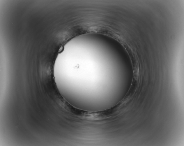 X0000086780472200704271813