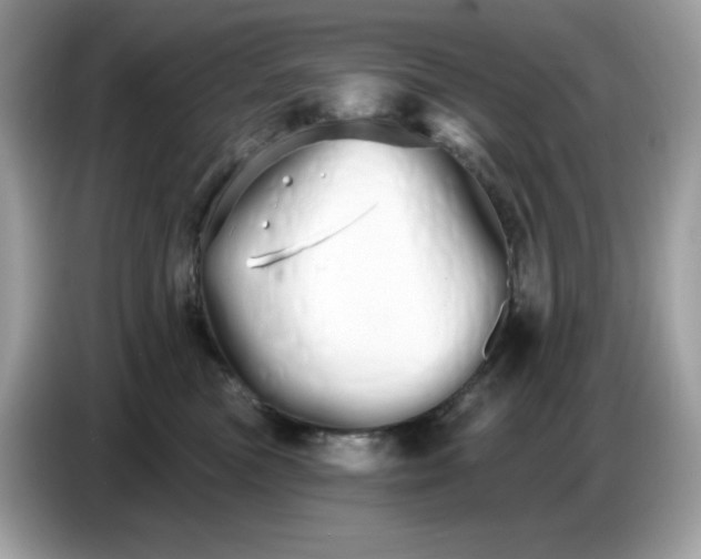 X0000086780473200704271813