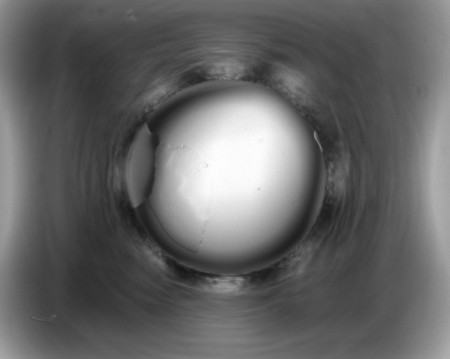 X0000086780474200704271813