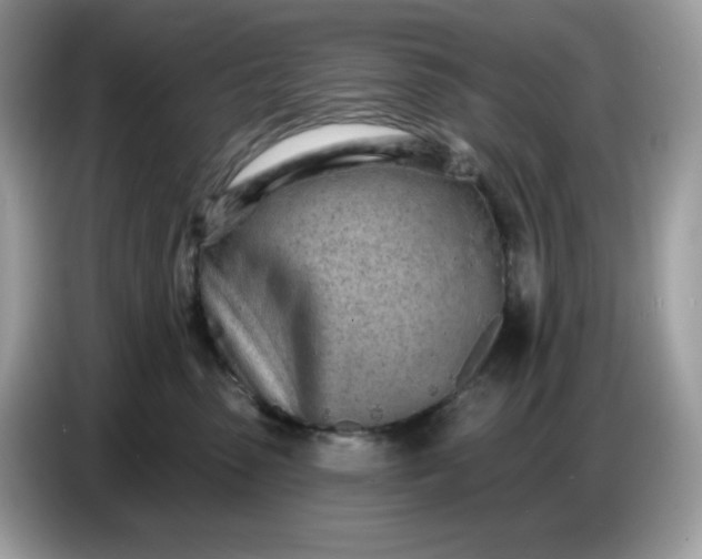 X0000086780475200704271813