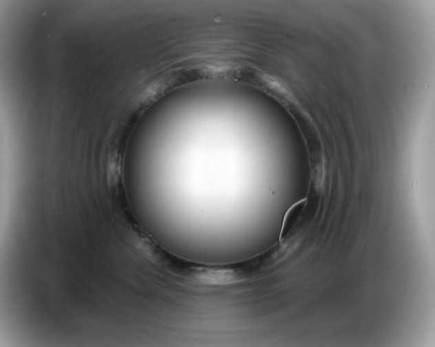 X0000086780476200704271813