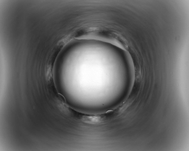 X0000086780478200704271813