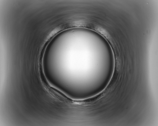 X0000086780482200704271813