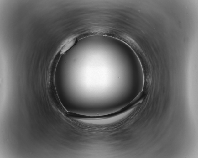 X0000086780484200704271813