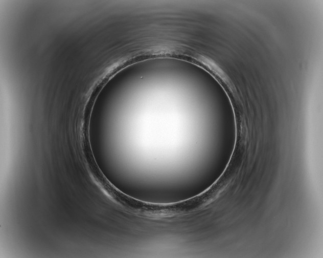 X0000086780485200704271813