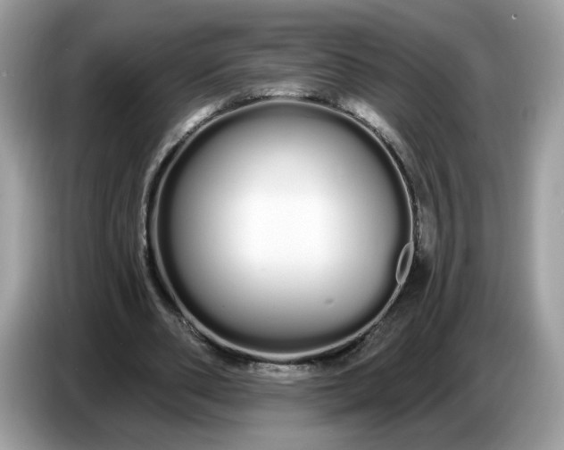 X0000086780486200704271813