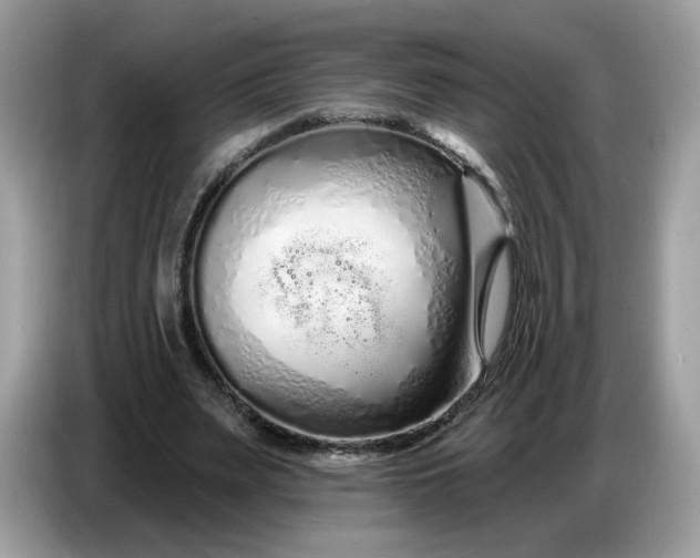 X0000086780487200704271813