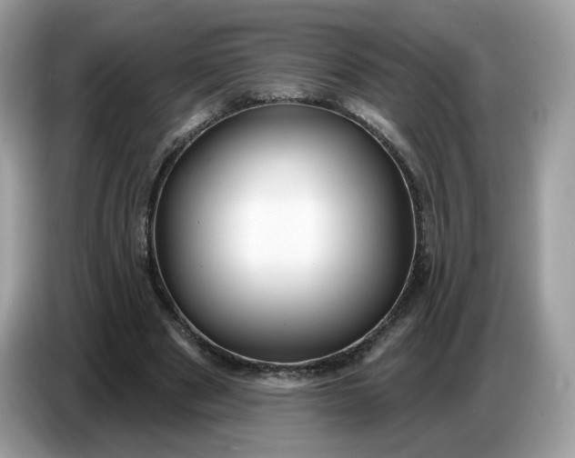 X0000086780489200704271813