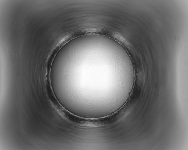 X0000086780490200704271813