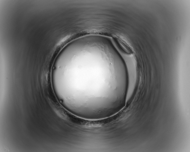 X0000086780491200704271813