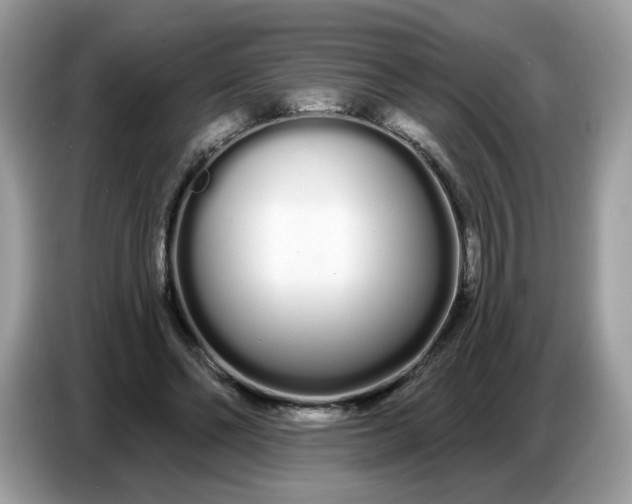 X0000086780494200704271813