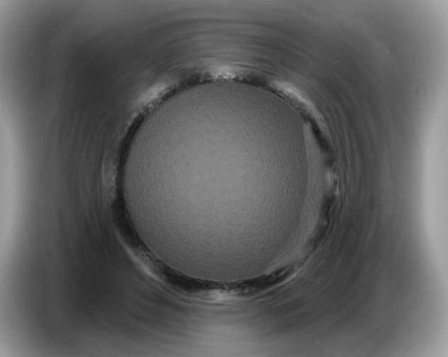 X0000086780496200704271813