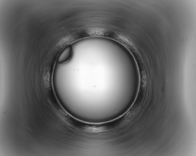 X0000086780498200704271813