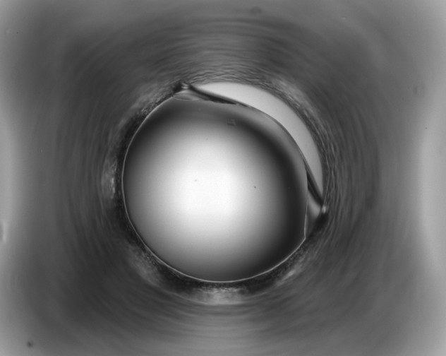 X0000086780501200704271813