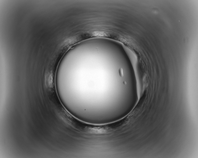 X0000086780502200704271813