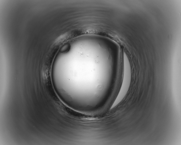 X0000086780503200704271813