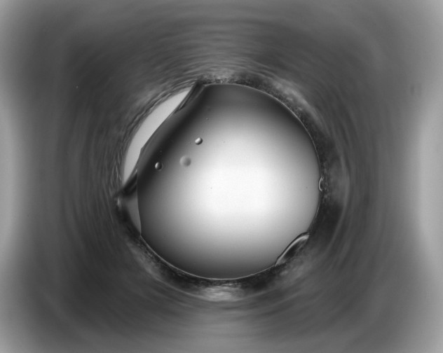 X0000086780505200704271813