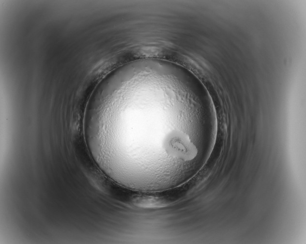 X0000086780507200704271813