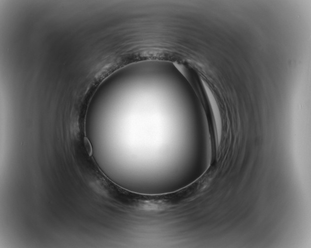 X0000086780508200704271813