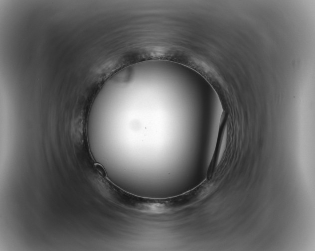 X0000086780509200704271813