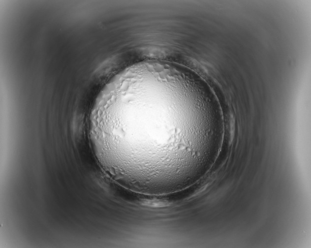 X0000086780511200704271812