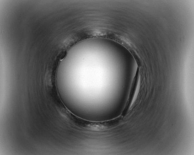 X0000086780512200704271812