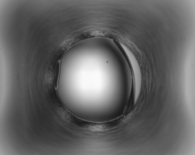 X0000086780513200704271812