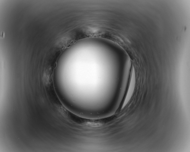 X0000086780515200704271812