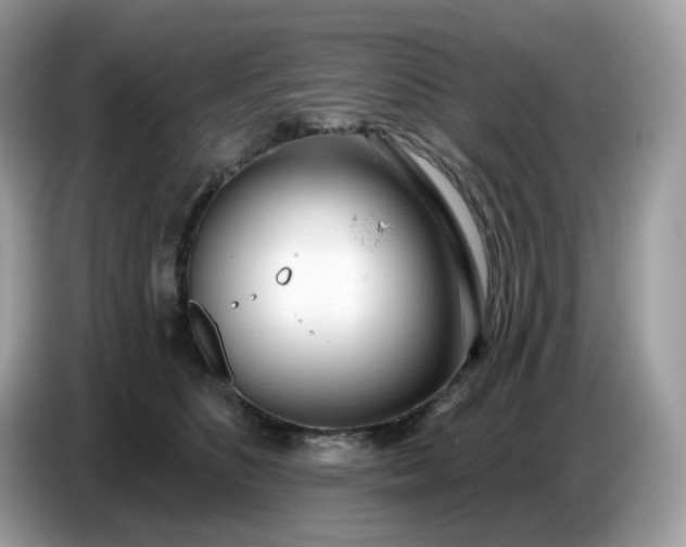 X0000086780516200704271812